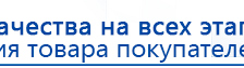 Электрод Скэнар - лицевой двойной Пешки купить в Долгопрудном, Электроды Скэнар купить в Долгопрудном, Нейродэнс ПКМ официальный сайт - denasdevice.ru